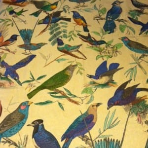 Stash fabric with painted birds.